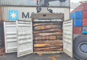 Read more about the article 13 containers filled with banned species rosewood nabbed at Tema Port