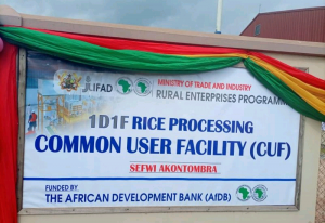 Read more about the article Rice factory commissioned under 1D1F…..Prez. Akufu Addo