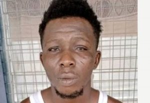 Read more about the article Biological brothers arrested for robbery
