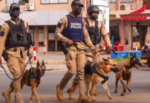 Read more about the article Ghana Police Launch Dog Patrol Operations To Fight Crime