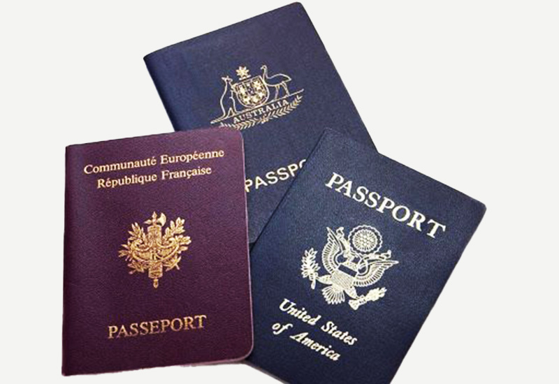 Read more about the article MP files private member bill for the amendment of dual citizenship restriction