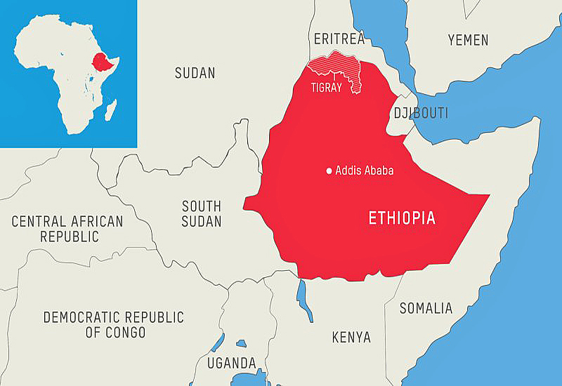 Read more about the article Ethiopia Crisis: AU must deploy ‘smart strategy’