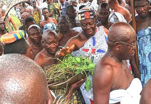 Read more about the article Powerful herbs that protect traditional rulers in Public gatherings