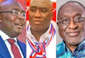 Read more about the article NPP bans all activities associated with its internal party elections