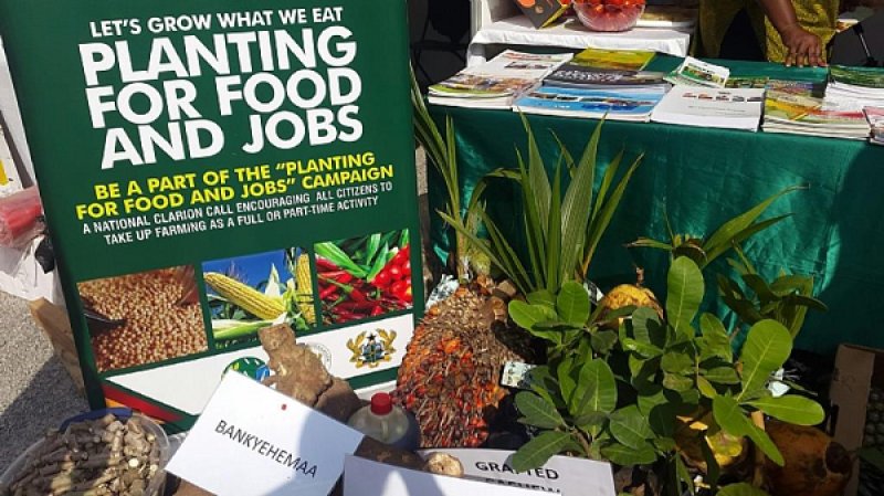 Read more about the article Planting for food and jobs propelling accelerated growth – Afriyie Akoto