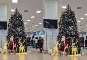 Read more about the article Minority to summon Transport Minister over inconsistencies in cost of Christmas trees at KIA