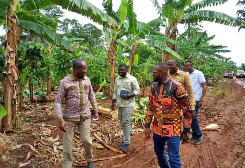You are currently viewing Cocoa roads see major boost in Western-North Region