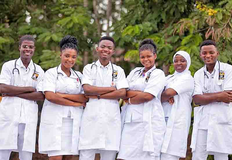 Read more about the article Nurses are traveling to UK in droves – GRNMA President laments over poor conditions of service