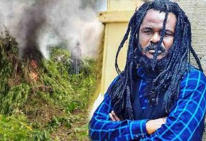 Read more about the article Officials burning wee farms is a clear indication that we think backward – Ras Kuuku