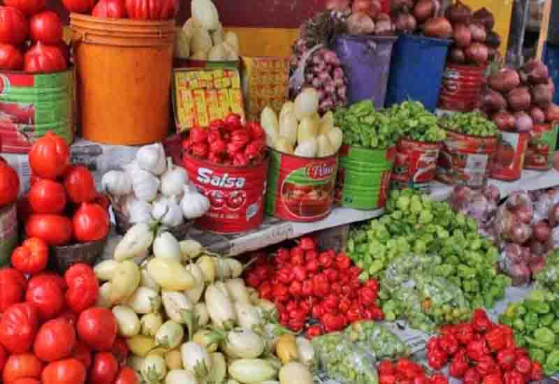 You are currently viewing Localise food value chain to resist external shocks – Agric expert