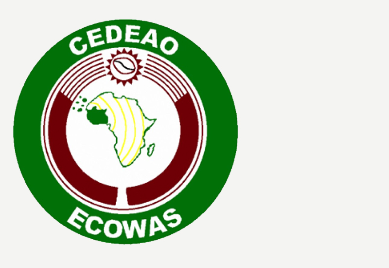 Read more about the article ECOWAS Mission urges stakeholders to support Mali’s transition process