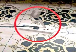 Read more about the article ‘She was playing with the spoon’ – 9-year-old girl electrocuted to death at Bantama