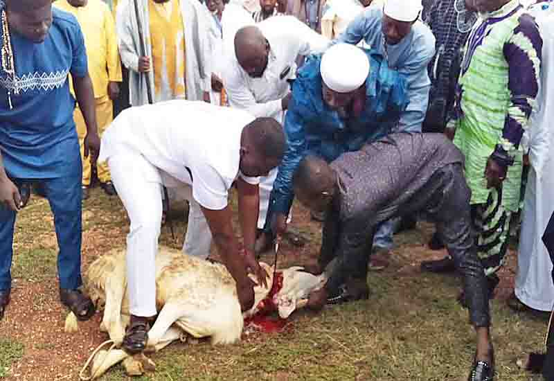 You are currently viewing Muslims urged to celebrate Eid-al-Adha with clean hearts