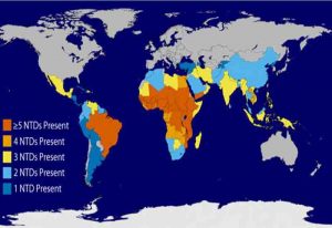 Read more about the article Togo becomes the first country globally to eliminate four neglected tropical diseases