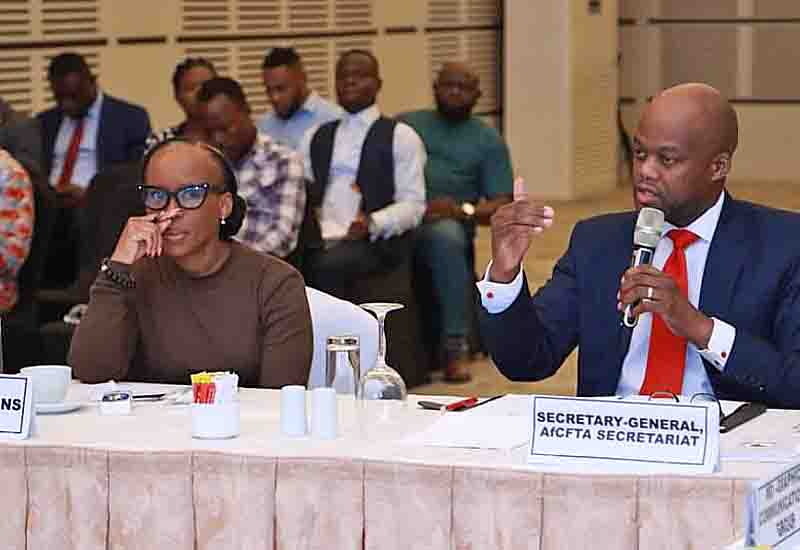 Read more about the article AFCFTA records significant progress – Wamlele Mene