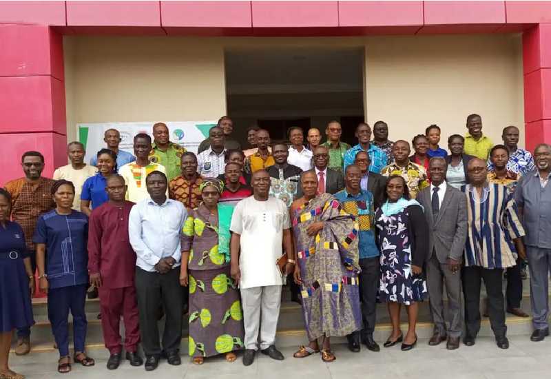 Read more about the article Ghana urged to prepare responses to new cassava pests infestation
