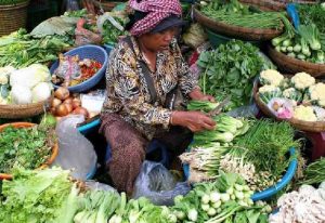 Read more about the article Vegetable contamination is harmful – Physician Assistance