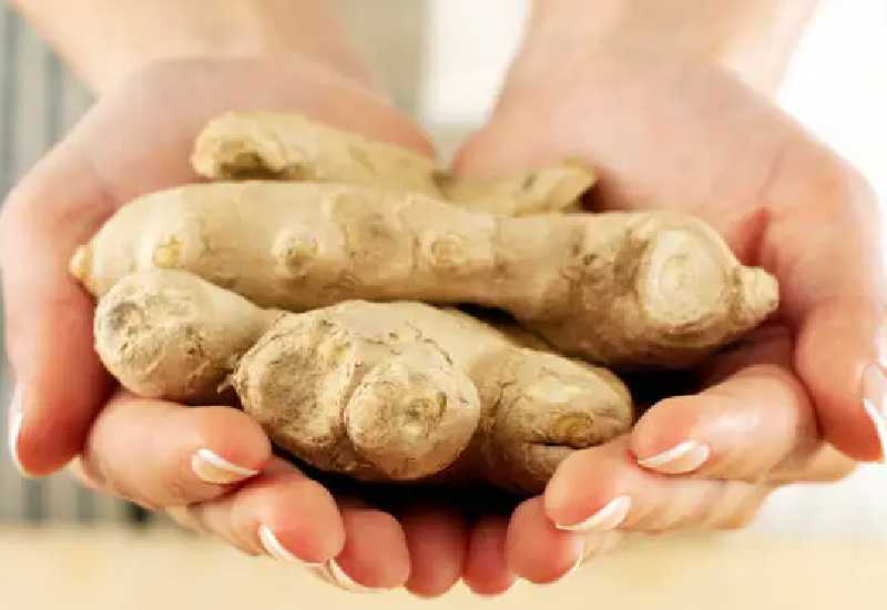 Read more about the article 10 health benefits of ginger