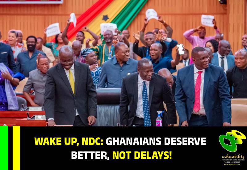 Read more about the article Wake Up, NDC: Ghanaians Deserve Better, Not Delay!