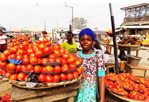 Read more about the article Ghana’s Food Paradox: Mountains of Rice, No Tomatoes