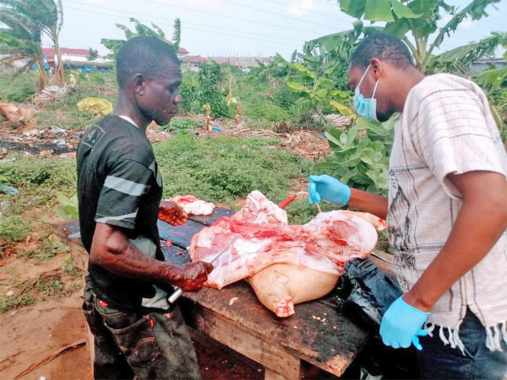 You are currently viewing Health Alert: Ban on pork consumption