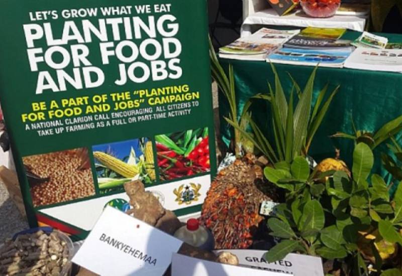You are currently viewing Planting for food and jobs propelling accelerated growth – Afriyie Akoto
