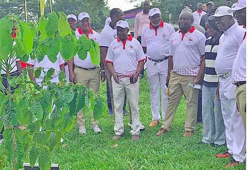 You are currently viewing Green Ghana Day: Asantehene leads tree planting project in Kumasi