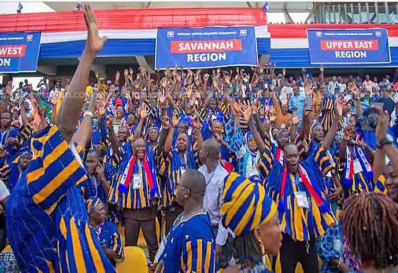 You are currently viewing NPP Savannah Region delegates boost tourism at Elections