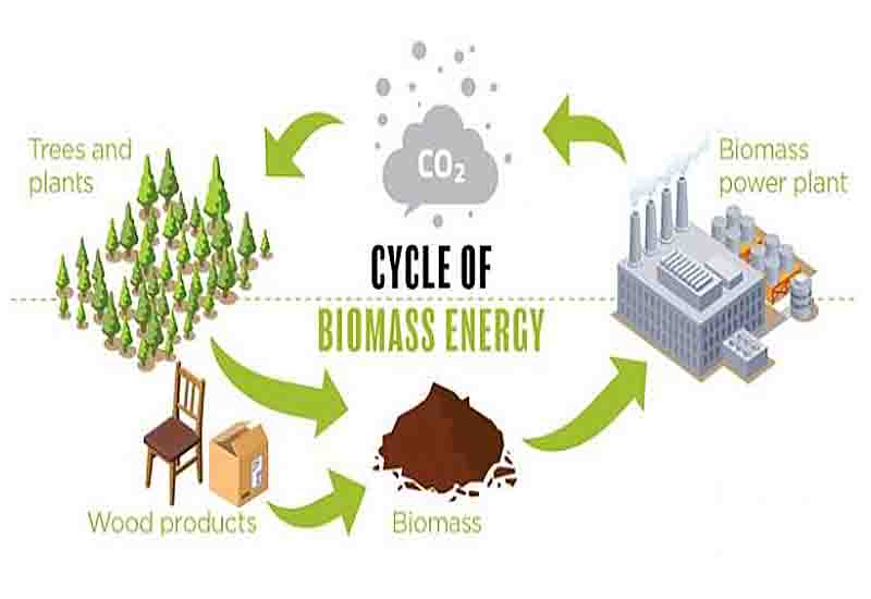 You are currently viewing Twifo Ati-Morkwa to become West Africa biomass fuel hub