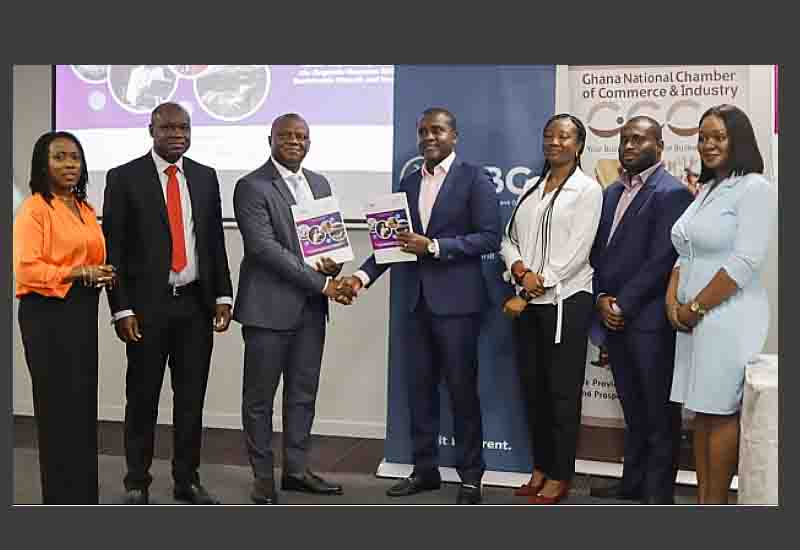 Read more about the article Development Bank Ghana, GNCCI provide capacity building for 1,000 SMEs