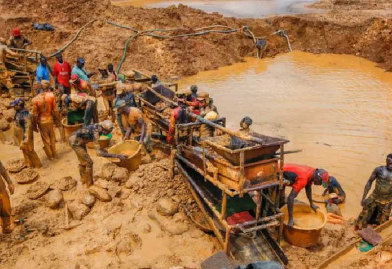 Read more about the article 34 major forests in Ghana significantly impacted illegal mining – Commission