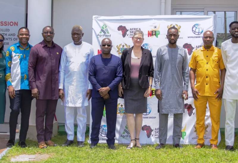You are currently viewing Agri-food Enterprise Programme to help Micro, Small, and Medium businesses catalyse foor innovations
