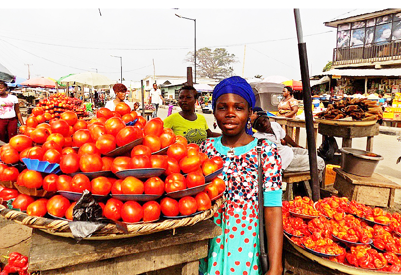 Read more about the article Ghana’s Food Paradox: Mountains of Rice, No Tomatoes